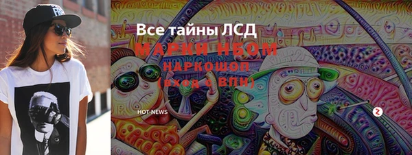 мдпв Богородск