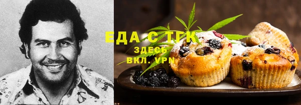 мдпв Богородск