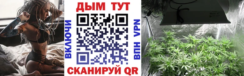 где купить наркоту  hydra зеркало  Марихуана ГИДРОПОН  Армавир 